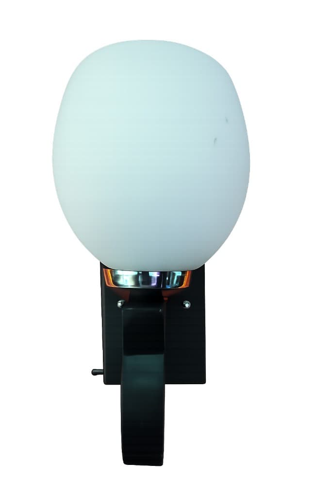 Modern Frosted Globe Wall Sconce 1